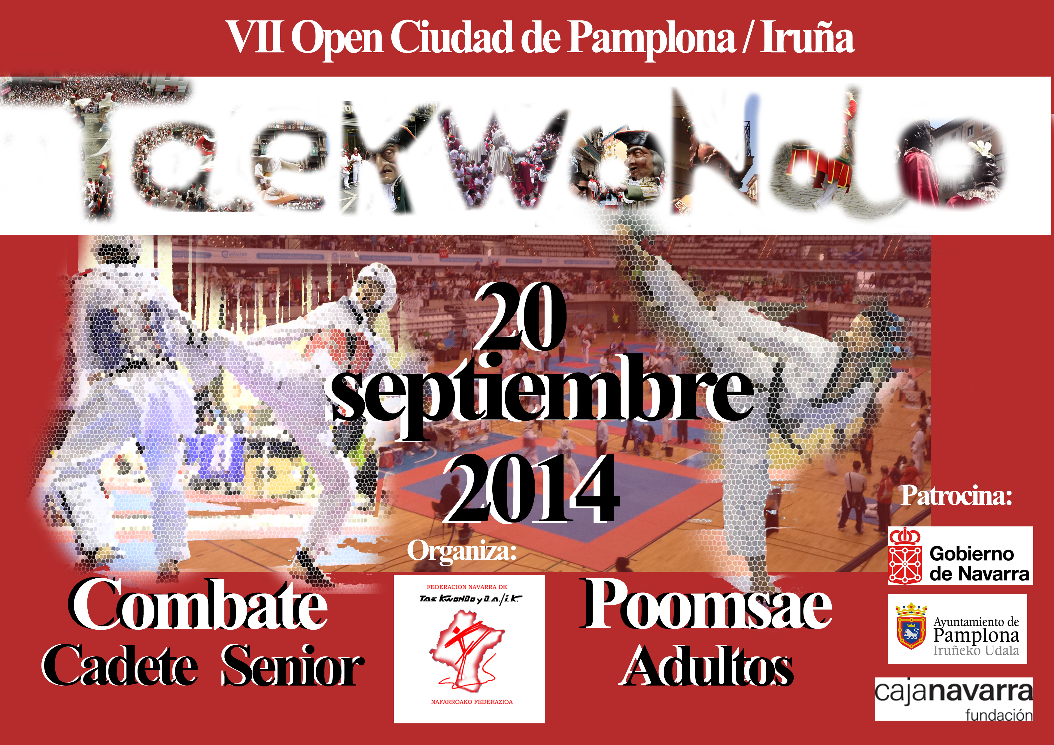 RESULTADOS VII OPEN CIUDAD DE PAMPLONA 2014